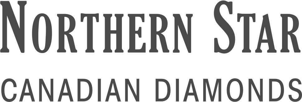 Northern Star Logo Text